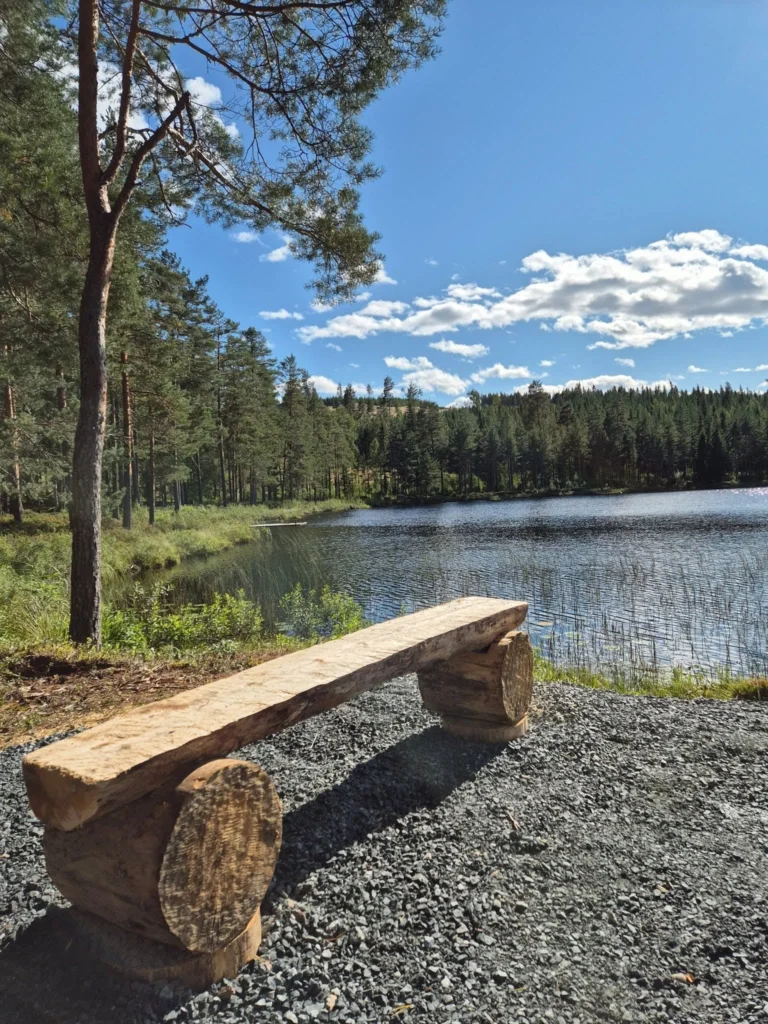 Sittplats eldstad vid tjärnen