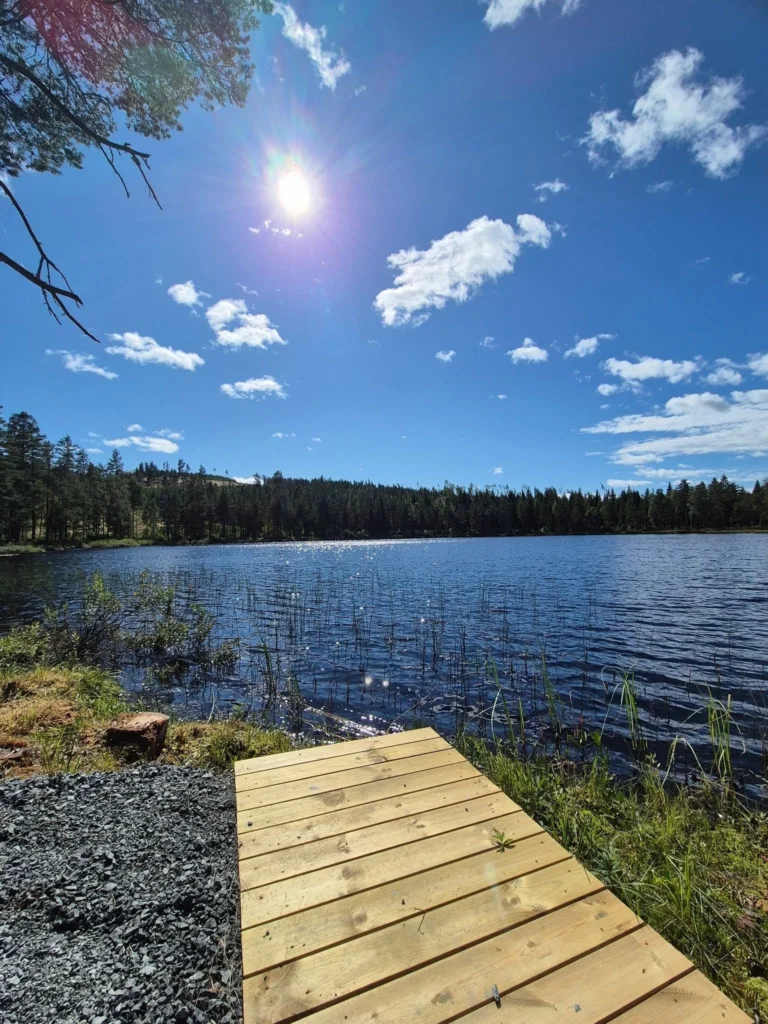 Fint väder vid tjärnen