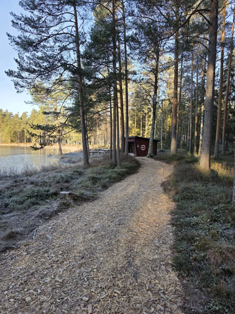 Smidig väg till eldplatsen vid tjärnen